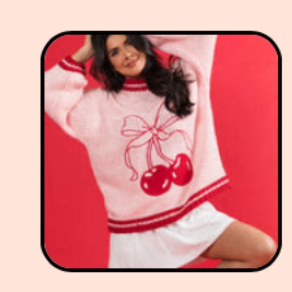 Pink Lily Red and Pink Knit Sweater